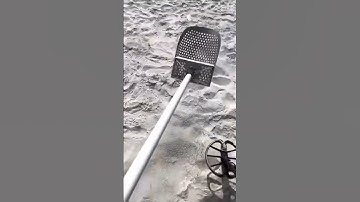 Metal Detecting Beach SCORE! 💥