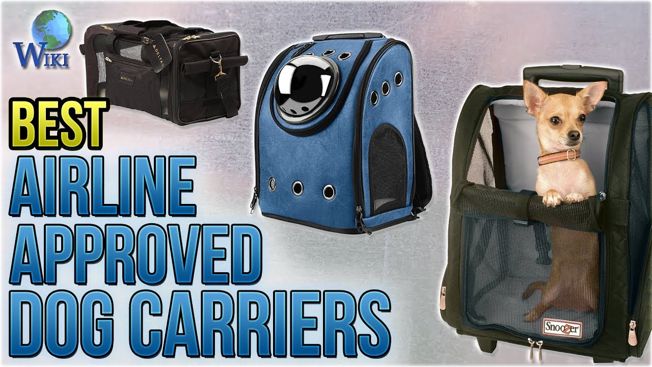 10 Best Airline Approved Dog Carriers 2018 