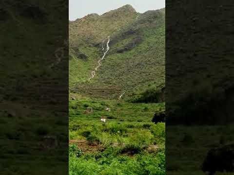 ارض الخير جياح المشوكه 