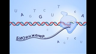 Факультет биоинженерии и биоинформатики МГУ