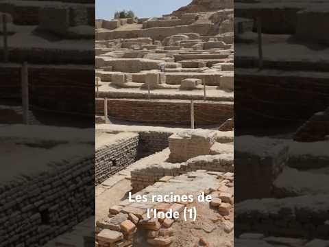 Les racines de
