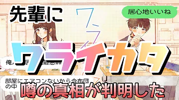 ピヨルカ夜の日と笑い
