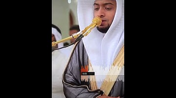 سورة التكاثر 🤍🤍 / القارئ احمد النفيس / ارح سمعك