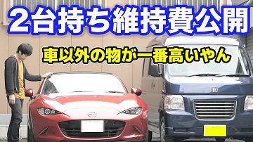 ヴェルファイア2台持ちの人 Mp3