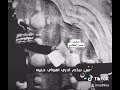 هانت العشره حالات واتس أب ستوريات