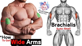 How to get Wider Arms Workout (6 Effective Exercises)