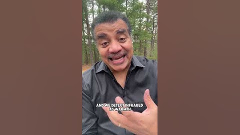 LED Bulbs vs. Old Bulbs 💡