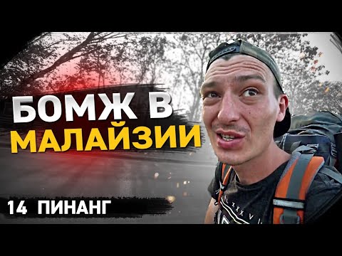 Видео: Курящий орангутанг становится холодным Турция в Малайзии