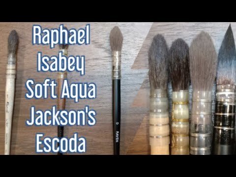 Best Watercolor Mop - Raphael Vs Isabey Vs Escoda Vs Jackson's 