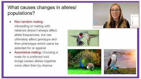 7.4 Population Genetics