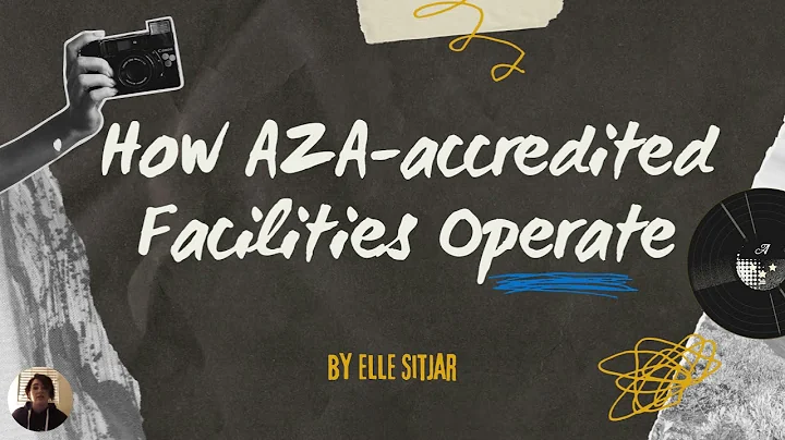 How AZA accredited Facilities Operate by Elle Sitjar