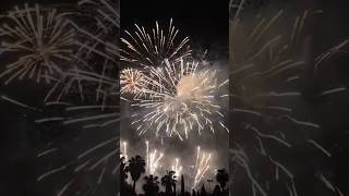 BIG SHELLS @NITDELFOC # #adembenemend #firework #pyro #vuurwerk #viral #fallas2026 #valencia #shorts