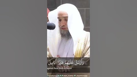 سورة الفيل) لأول مرة بهذا أداء باگي يقطع القلب للشيخ فيصل الغزاوي 💔😭