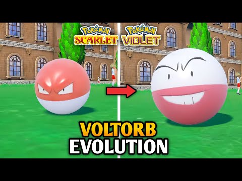 How To Evolve Voltorb Into Electrode In Pokemon Scarlet And Violet | Paldea Pokedex