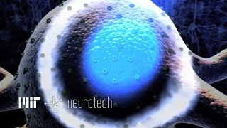 Neurotech 6: Light Activated Neurons (Optogenetics with Ed Boyden)