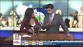 Take This Adorable Pair Home: Olie & Grant