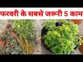 यह 5 काम फरवरी में आपकी पौधों में करना बेहद जरूरी है || Important Garden Works In February