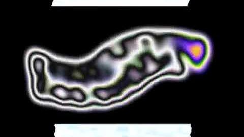 (REUPLOAD) Sonic Foundry Vegas 4.0 Test