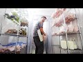 Butchering 700 LBS of Turkey & Chicken (in a day)