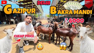 (Delhi) Cheap Price Bakra Mandi | 2024 | Gazipur Bakra Mandi | 2024 Latest Update .