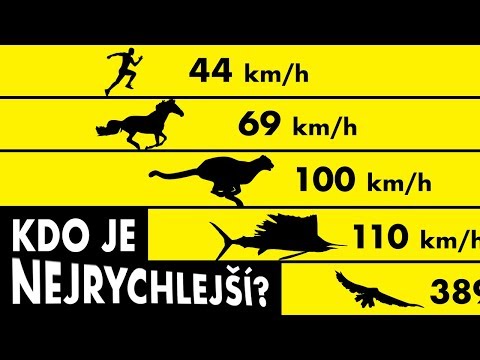 Video: Jaká Zvířata Běží Nejrychleji