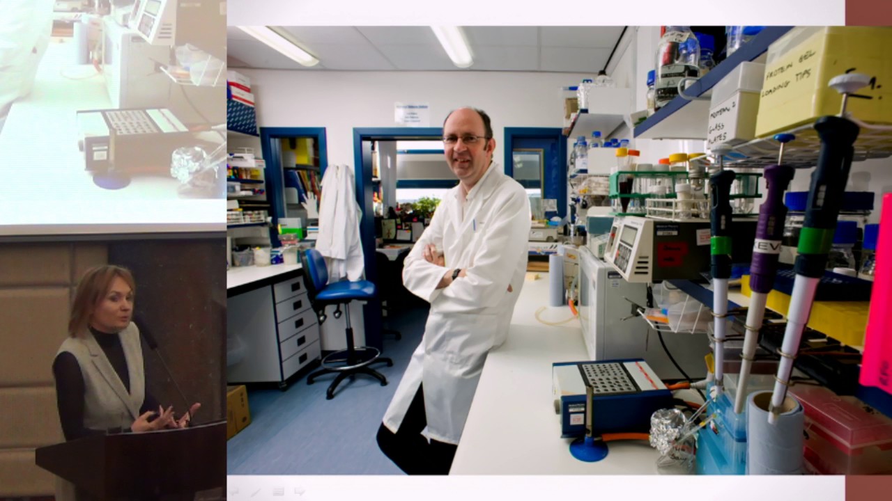 Взаимосвязь бронхиальной астмы и атопического дерматита: нарушения барьерной функции тканей.