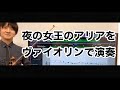 モーツァルト「魔笛」夜の女王のアリアをヴァイオリンで演奏してみた　Mozart Queen of the Night Violin Cover