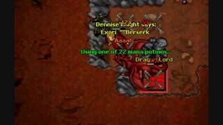 Tibia Dennise'Knight First Dragon Lord Solo