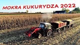 KUKURYDZA NA ZIARNO 2022  Zetor 7211 / John Deere 6R185