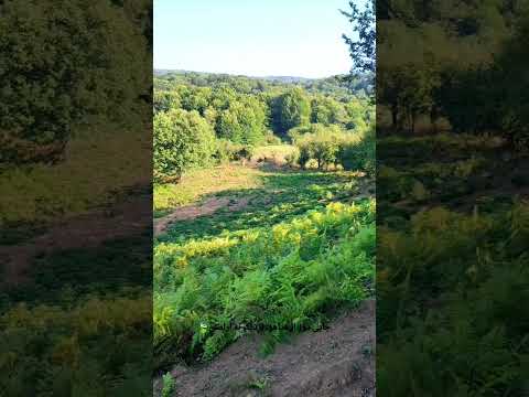 طبیعت شمال مازندران روستا سیدخیل