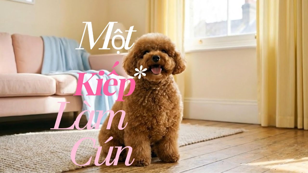 Một Kiếp Làm Cún 