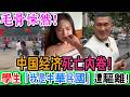 崩潰了！为啥不接乘客 中国经济死亡内卷！|導盲犬竟被拒入院！法盲當道！「領導不讓」！|學生一句「我是中華民國的」老師當場暴怒趕人！|台灣阿嬤嫌服務太差！竟遭整機圍攻！｜Reaction Video