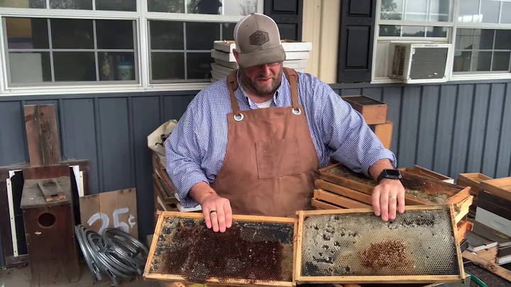 Cleaning up old frames | Honeycomb | Beekeeping