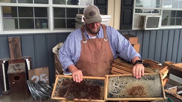 Cleaning up old frames | Honeycomb | Beekeeping