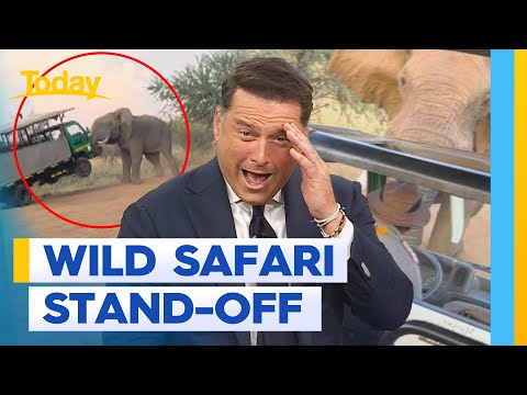 Terrifying footage of moment an elephant charged at a safari tour truck | Today Show Australia