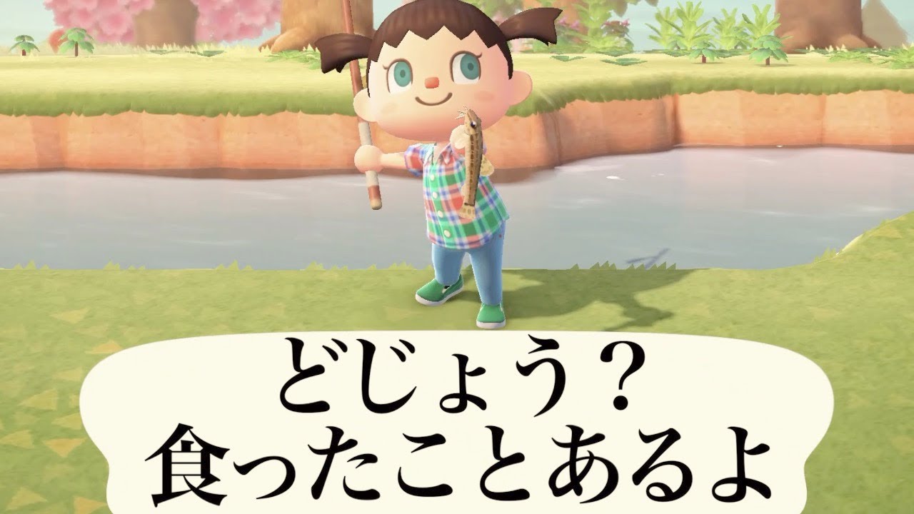 【あつ森】どじょうを食った話とか始める軽く頭のおかしいどう森実況【二日目】