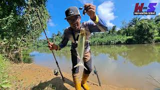 Mancing di sungai serau | umpan sawit dan dedak #wms-227