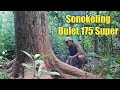 Tebang Sonokeling Bulet 175 Super