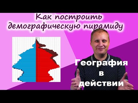 Как построить демографическую пирамиду. География в действии!