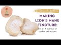 Advanced Tincture Making: Double Extracted Lion's Mane Mushroom