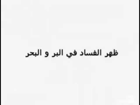 النزاهة و مكافحة الفساد هديل عبدالله