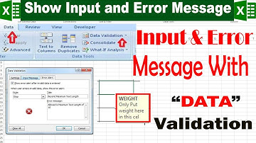 Show Input and Error Message with data validation in Excel by learning Center in Urdu/hindi