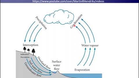 Hydrological cycle