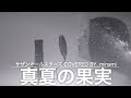 【COVER】真夏の果実/サザンオールスターズ【リクエスト】
