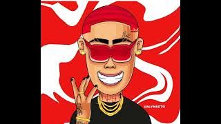 Yaisel LM - PALO TRAS PALO (audio oficial)