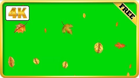 Fall Autumn Leaves falling green screen video