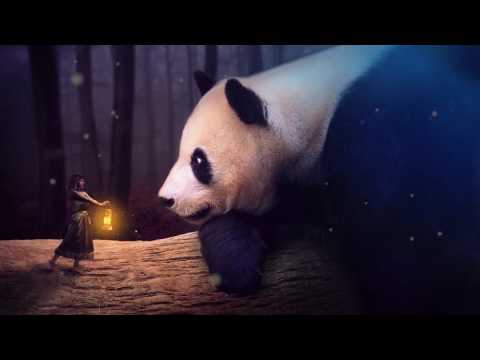 ვიდეო კომპოზიცია - \"წარმოსახვა\"