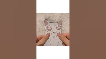 WARRIOR CATS AS MEMES #warriorcats #animatedmap #animation #catswarriors #animationmemes #cat v