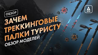 Как выбрать Треккинговые палки?