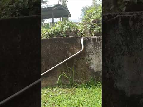 Rare footage DJI